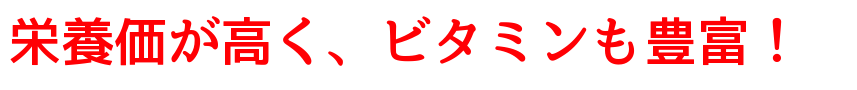 栄養価が高く、ビタミンも豊富!